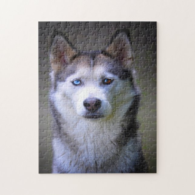 Puzzle Husky Jigsaws siberiano. (Vertical)