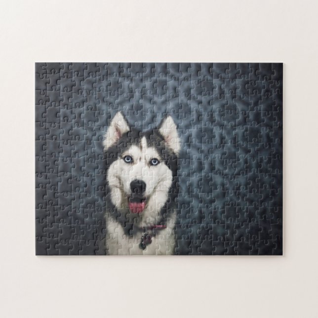 Puzzle Husky Puppy Posing with a Dark Bakground (Horizontal)