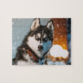 Puzzle Husky siberiano