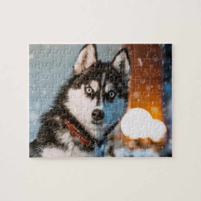 Puzzle Husky siberiano (Horizontal)