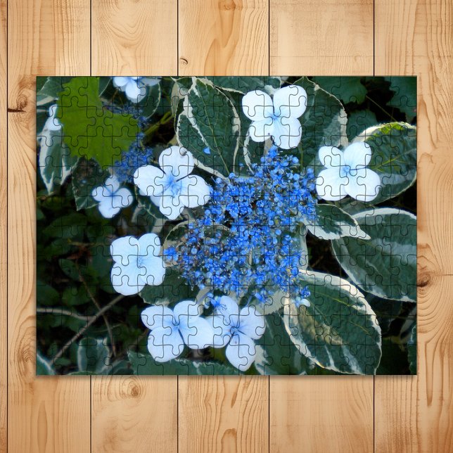 Puzzle Hydrangea azul variada (Subido por el creador)