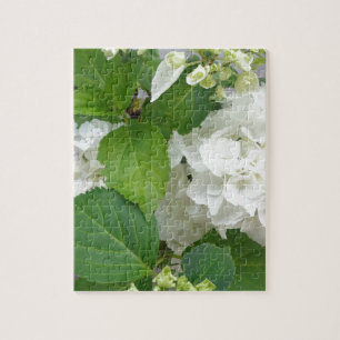 Puzzle Hydrangea Flor Verde Blanco Naturaleza Planta Jard