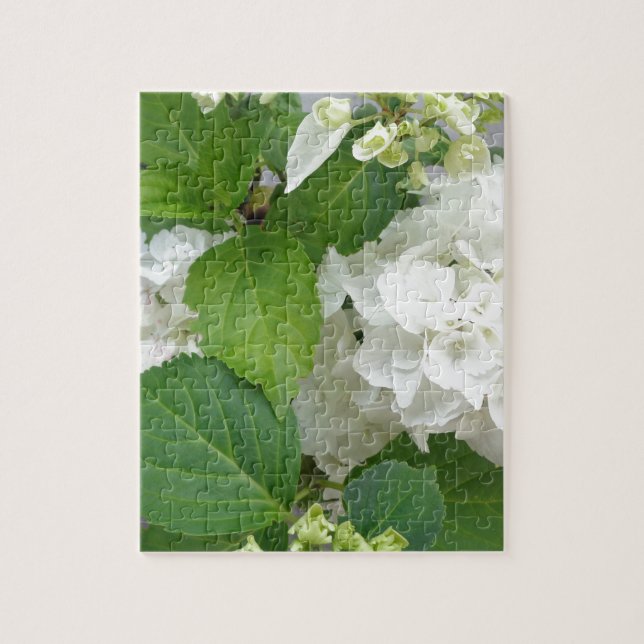 Puzzle Hydrangea Flor Verde Blanco Naturaleza Planta Jard (Vertical)
