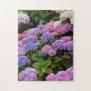 Puzzle Hydrangea Fotografía