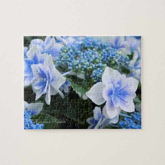 Puzzle Hydrangea 'Konpeito' [rompecabezas: 110P] (Horizontal)