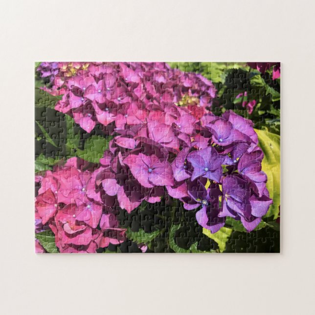 Puzzle Hydrangeas (Horizontal)