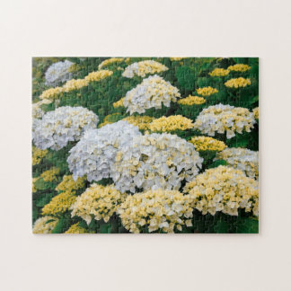 Puzzle Hydrangeas