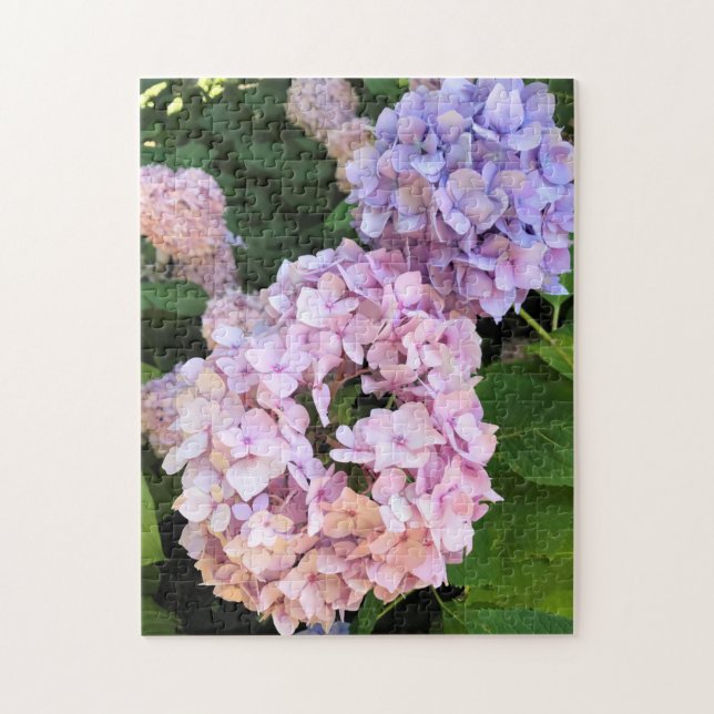 Puzzle Hydrangeas (Vertical)