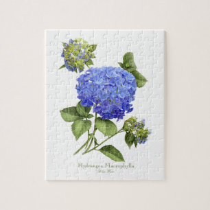 Puzzle Hydrangeas Blue
