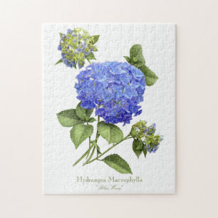 Puzzle Hydrangeas Blue