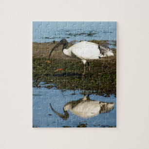 Puzzle Ibis
