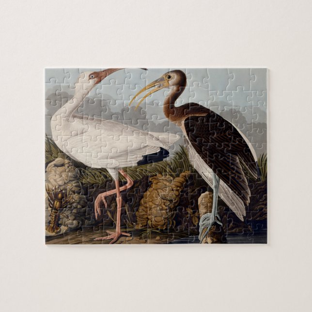 Puzzle Ibis blanco audubon (Horizontal)