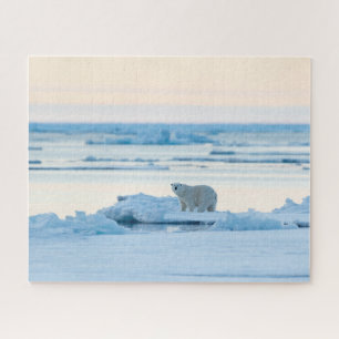 Puzzle Ice & Snow Polar Bear Iceberg Norway
