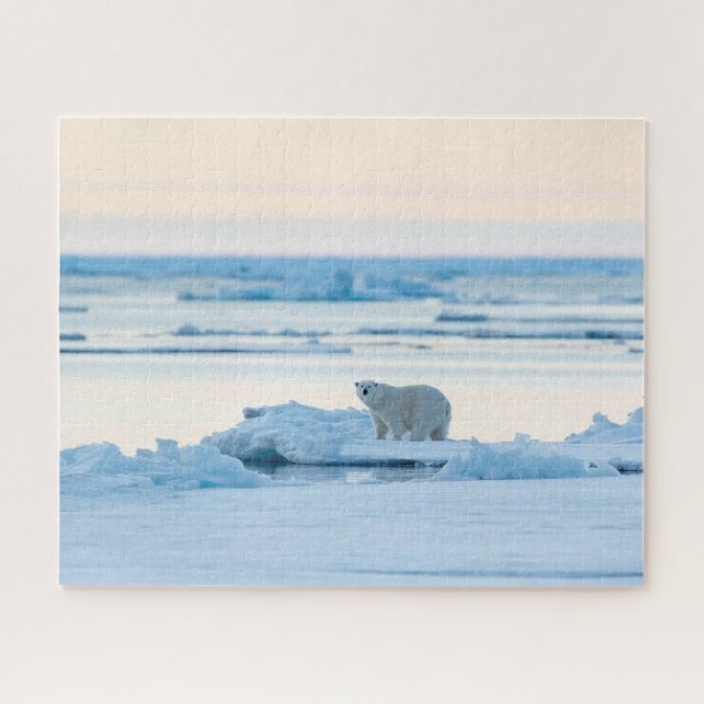 Puzzle Ice & Snow | Polar Bear Iceberg Norway (Horizontal)