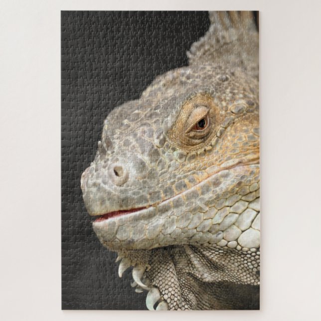 Puzzle iguana (Vertical)