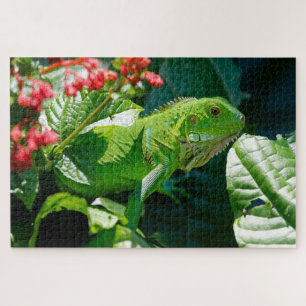 Puzzle Iguana