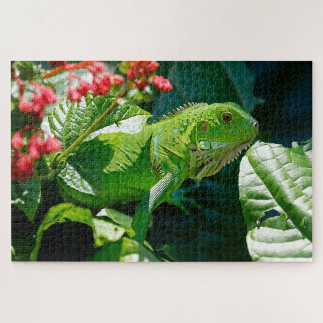 Puzzle Iguana (Horizontal)