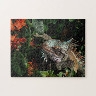 Puzzle Iguana de animales Mascota de Reptiles Exóticos Li