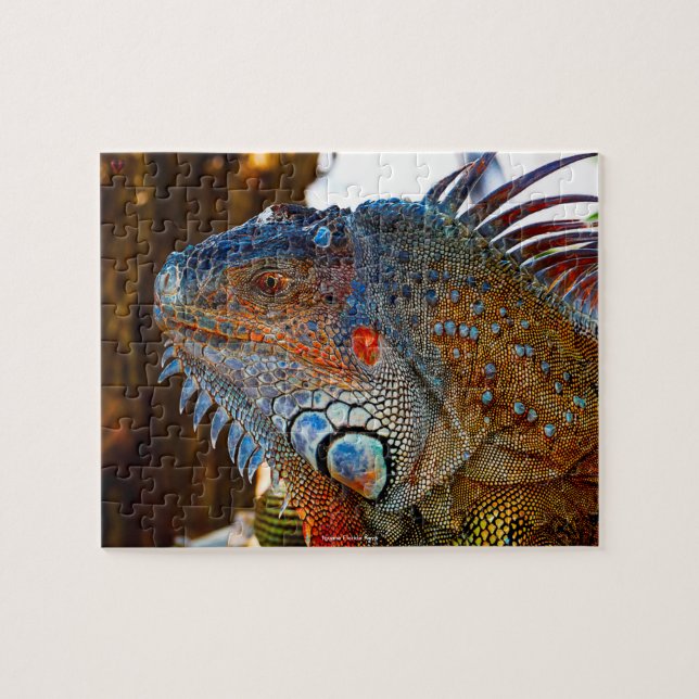 Puzzle Iguana de las Islas Florida Keys (Horizontal)