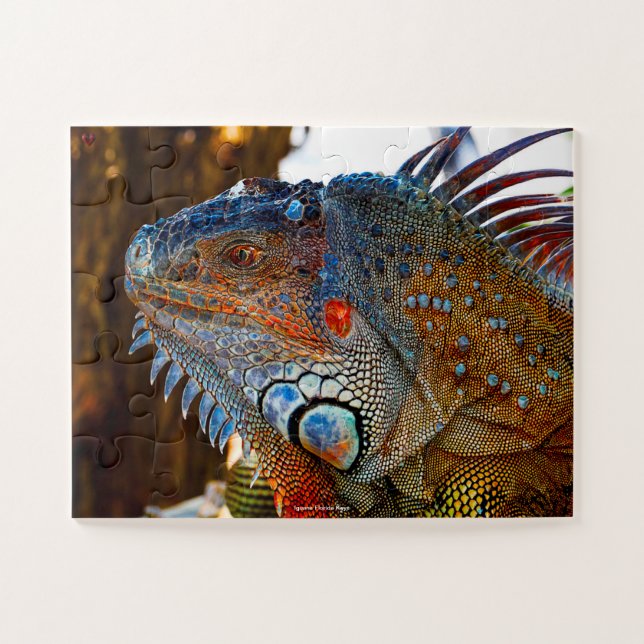 Puzzle Iguana de las Islas Florida Keys (Horizontal)