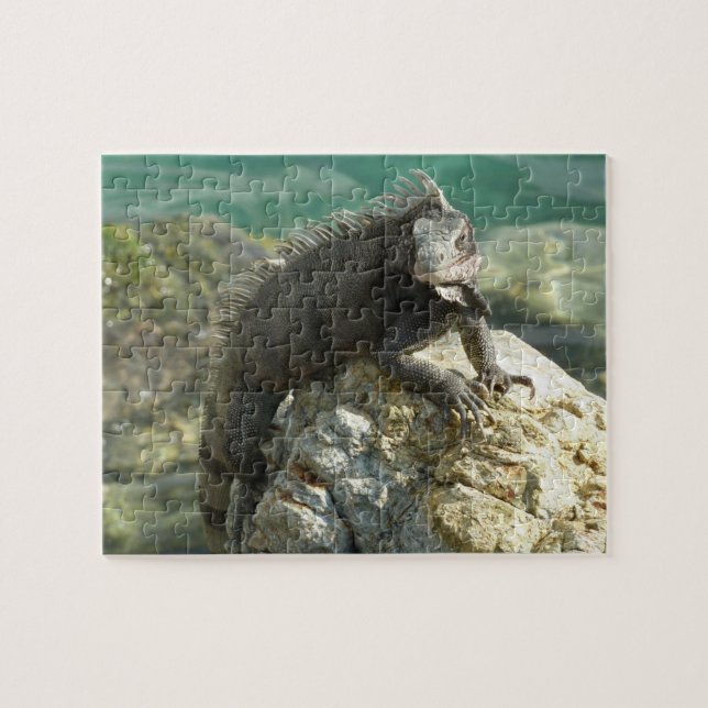 Puzzle Iguana en las rocas en St. Thomas (Horizontal)
