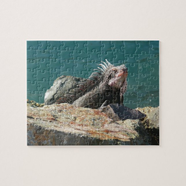 Puzzle Iguana en St. Thomas (Horizontal)