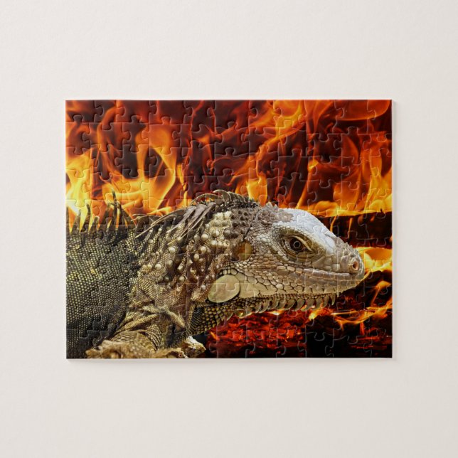 Puzzle Iguana Fire (Horizontal)
