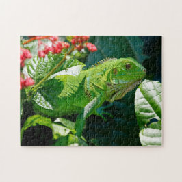 Puzzle Iguana Lizard