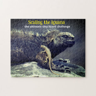 Puzzle Iguana marina y lagartija de lava