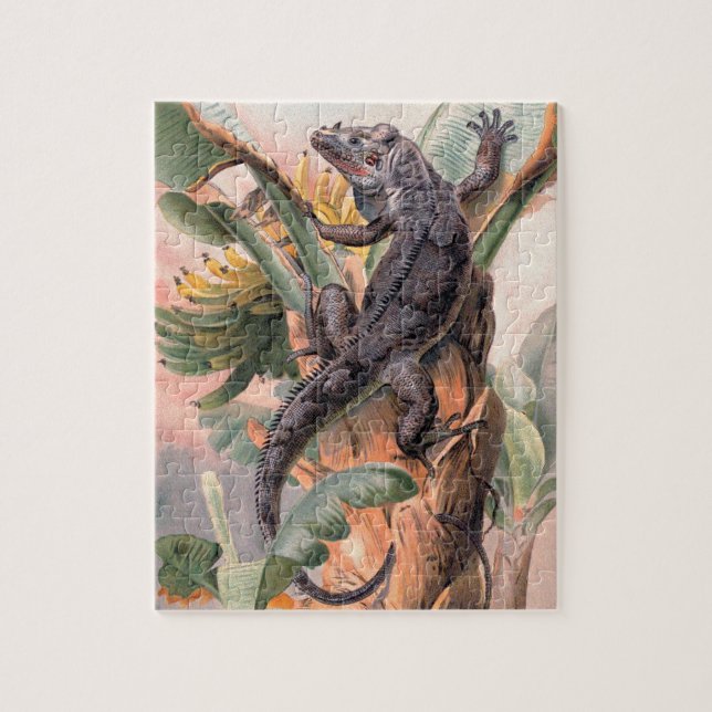 Puzzle Iguana negra tropical, animal de reptil salvaje vi (Vertical)