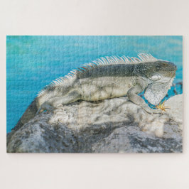 Puzzle Iguana Sunbathing en Beach Rock