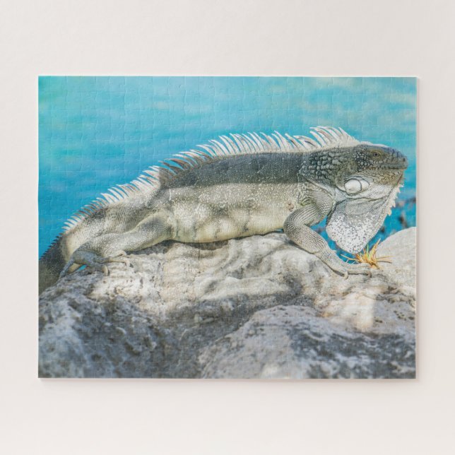 Puzzle Iguana Sunbathing en Beach Rock (Horizontal)