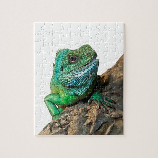 Puzzle Iguana verde (Vertical)
