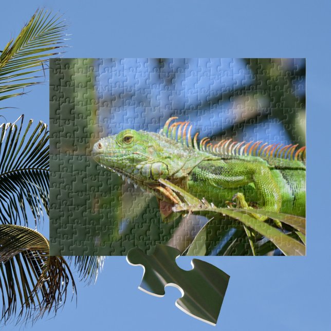 Puzzle Iguana Verde en una palmera fotográfica (Subido por el creador)