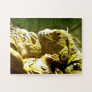 Puzzle Iguanas