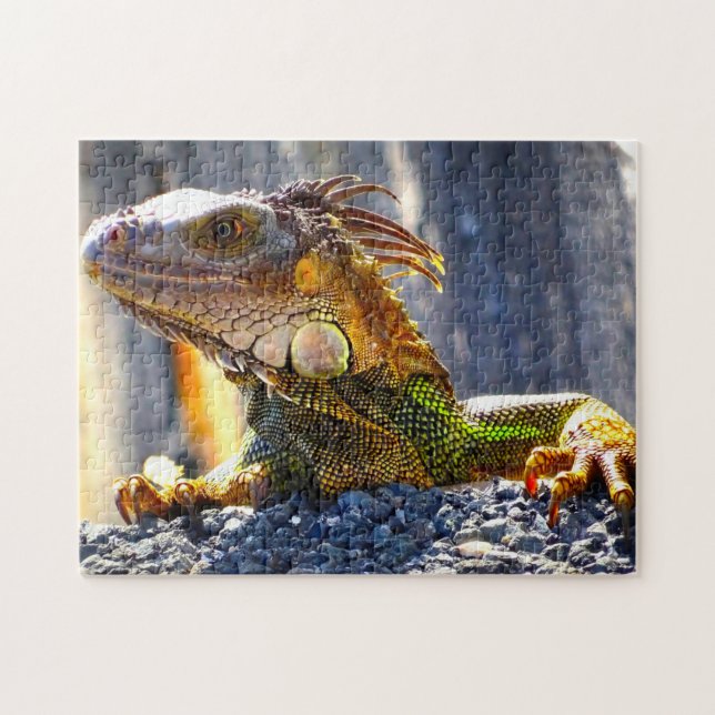Puzzle Iguanas en Florida (Horizontal)