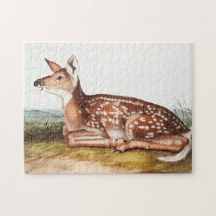 Puzzle Ilustracion Americano de Cervus Virginianus
