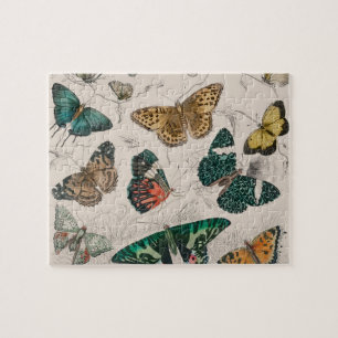Puzzle Ilustración antigua de mariposa: Orfebre de 1820