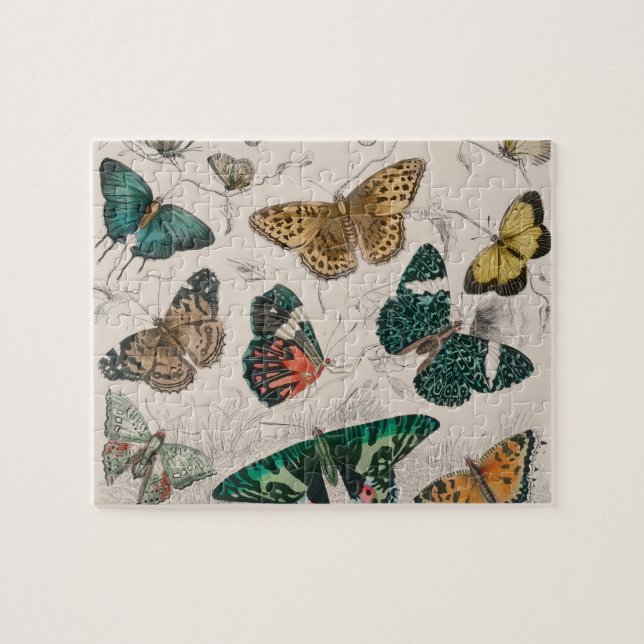 Puzzle Ilustración antigua de mariposa: Orfebre de 1820 (Horizontal)
