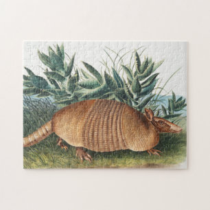 Puzzle Ilustracion Armadillo (Dasypus Peba) de nueve band