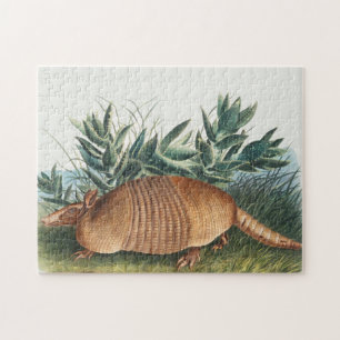 Puzzle Ilustracion Cute Vintage Armadillo