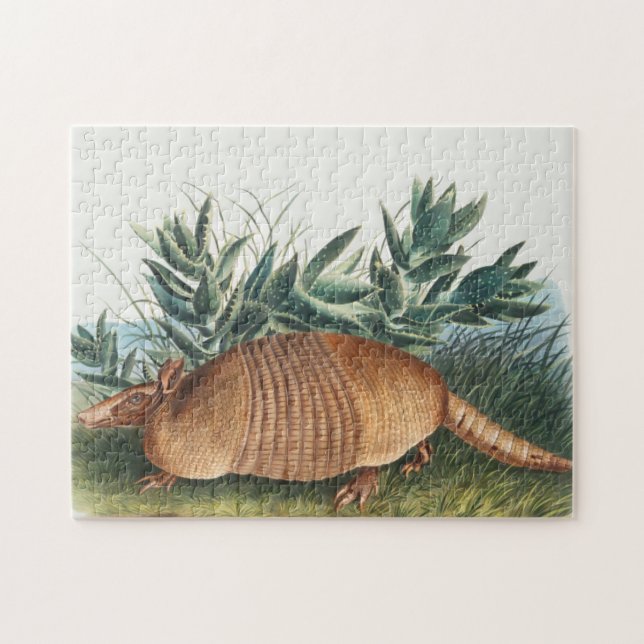 Puzzle Ilustracion Cute Vintage Armadillo (Horizontal)