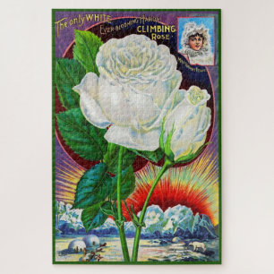Puzzle ilustracion de catálogo rosa de los años 1890 Whit