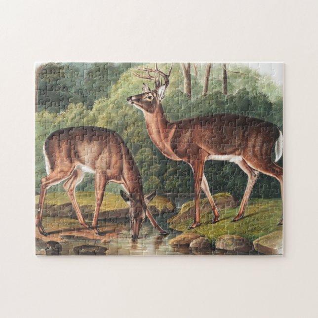 Puzzle Ilustracion de Cervus Virginianus (Horizontal)