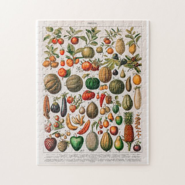 Puzzle Ilustracion de cosecha de frutas y hortalizas (Vertical)