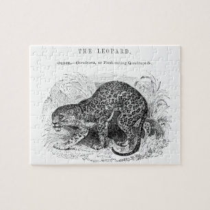 Puzzle Ilustración de fauna y flora vintage de leopardo