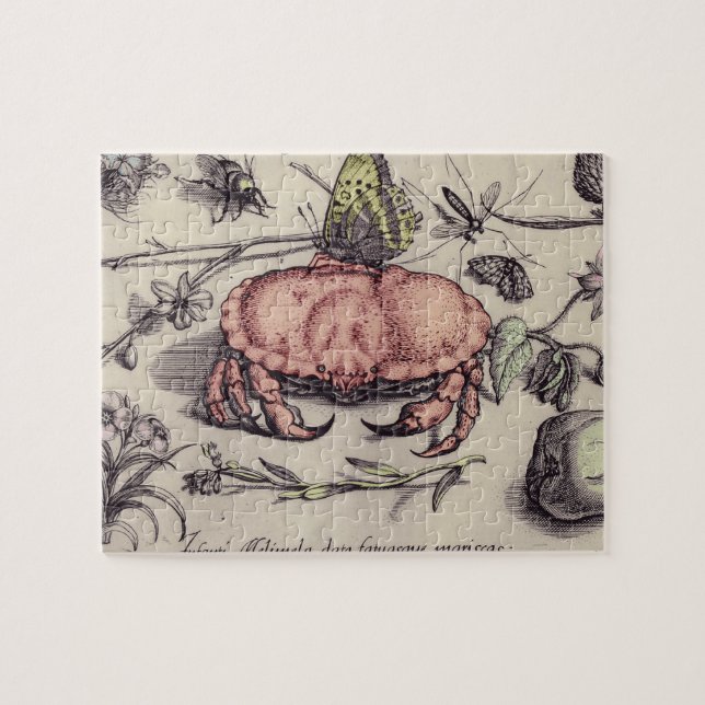 Puzzle Ilustracion de flor de insectos botánicos de cangr (Horizontal)