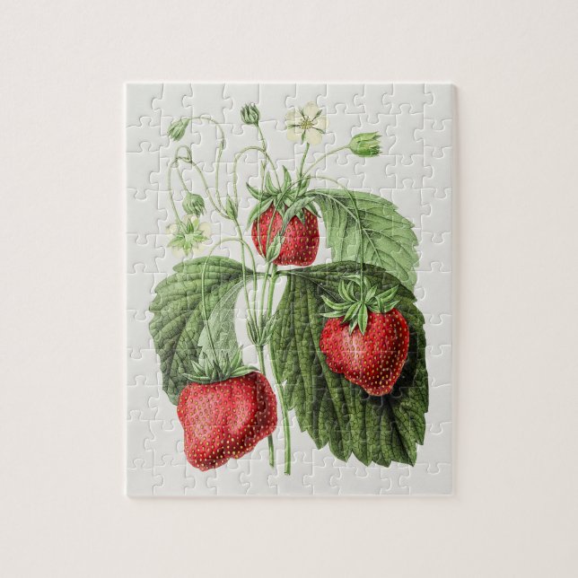 Puzzle Ilustracion de fresa vintage (Vertical)