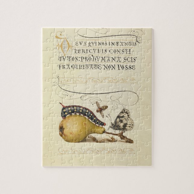 Puzzle Ilustracion de insectos de fruta de mariposa de ab (Vertical)