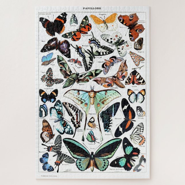 Puzzle Ilustracion de mariposas antiguas (Vertical)